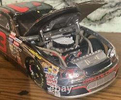 CUSTOM PREORDER CHROME Dale Earnhardt 1995 AllStar Race 1/24 Action Diecast