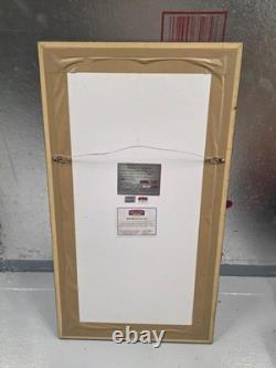 Jeff Gordon Signed Mounted Memories 85 Career Wins with Race Used Tire COA