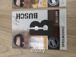 Kyle Busch Complete 2010 Spellbound Race Used Car Cover Set JGR NASCAR