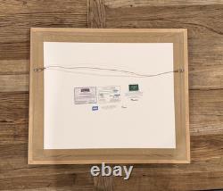 Tony Stewart Signed NASCAR Championship Display Race Used Tire & Green Flag