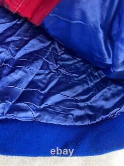 Vintage Jeff Hamilton Jeff Gordon Dupont Sz LARGE Rainbow Jacket Nascar Race