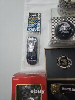 Lot de 17 articles de collection de Dale Earnhardt Sr